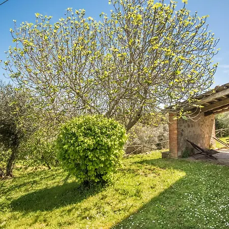 Podere Montorgialino